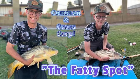 The Fatty Spot - CARP Paradise! (All Double Digits!)