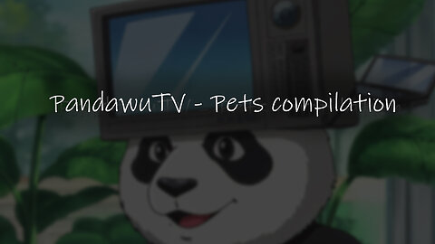 Cuties Animals Compilation / PandawuTV #003