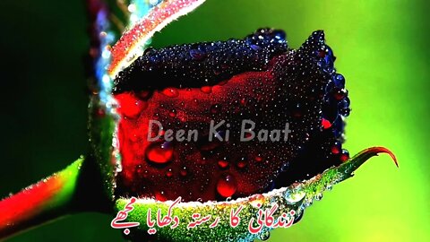 Meri Maa Teri Har Ek Ada Khoob Hai || Beautiful Naat Status || Islamic New Naat Status || #maa