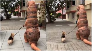 Un T-Rex promène un chien dans les rues de San Francisco