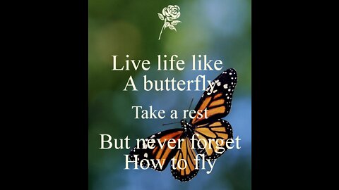 Motivational quotes for women | Be a Butterfly | Must Watch