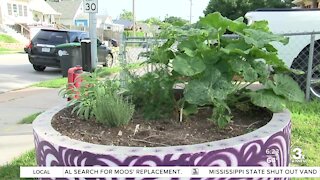 Positively the Heartland: Organization grows free organic produce for the community