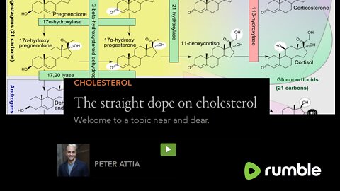 The Straight Dope on Cholesterol - AHS12 Peter Attia, MD