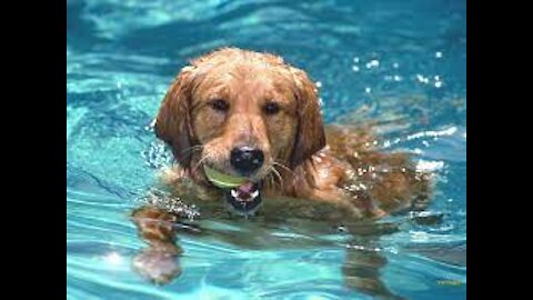 Adorable in the pool ❤️❤️