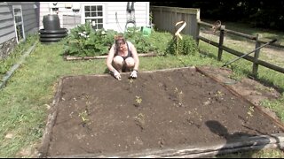 How to Build a Garden Box