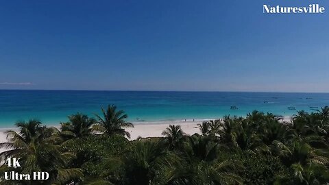 Tropical Beach And Palm Trees on an Island. Ocean Sounds. Ocean Waves. Natural Landscapes. Paradise!