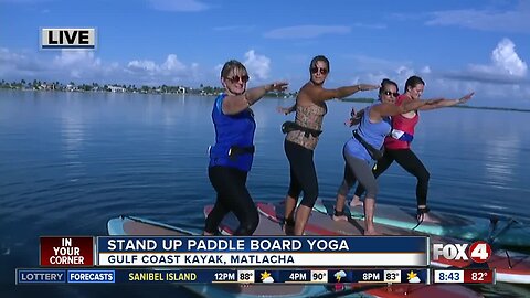 Stand up paddle board yoga in Matlacha Live Hit 08:30a