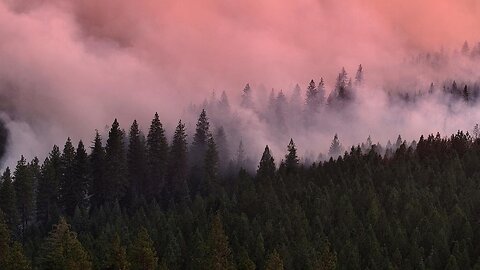 Park Fire nears another devastating record in California | VYPER