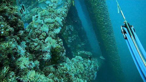 Spearfishing OFFSHORE OIL RIGS for Deep GROUPER! (Day 1 Louisiana Trip)