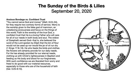 The Sunday of the Birds & Lilies - Trinity 15 - September 20, 2020