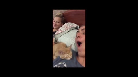 Cute And Funny Cat Videos 😜😉😉😀 Compilation