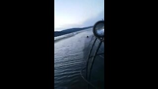 Water Skiing behind an Airboat!