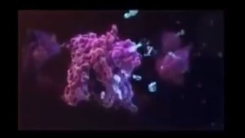 Visual Display of How mRNA Vaccine Affects Cells and How mRNA Works