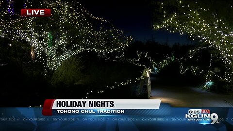 Over a million lights illuminate Tohono Chul for holiday nights