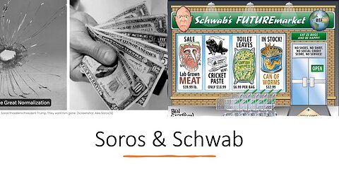 Soros and Schwabb