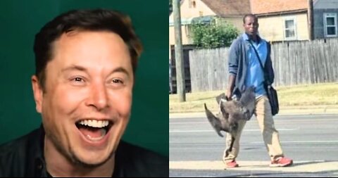 Elon Musk, MAGA Fuels Meme War Amid Viral Haitian Migrants Cat Eating Scandal