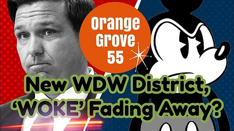 New District Replacing RCID At WDW + Is 'Woke' Fading Away In Hollywood?