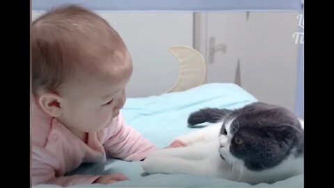 OMG Super Cute ♡ Baby Funny Cats and Dogs Compilation