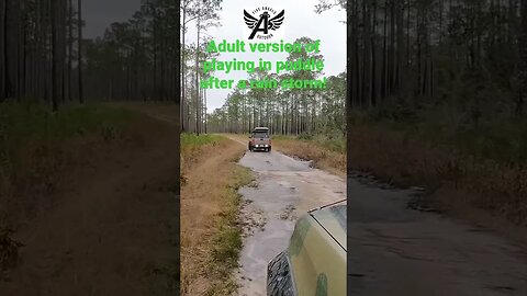 Playing in Puddles After a Storm, the Dad version #shorts