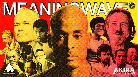 MEANINGWAVE TOP 50! Ft Jocko Willink, Alan Watts, David Goggins, Bruce Lee, Terence McKenna...