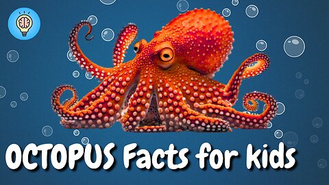 Amazing Octopus Facts for Kids! 🐙 https://youtu.be/73l9RujOOZc