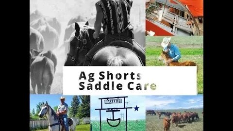 Saddle Maintenance - Ag Shorts