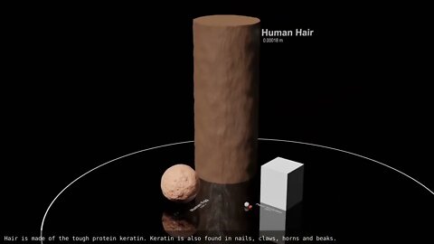 Universe Size Comparison 2020