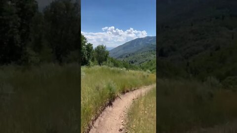 Nobody Else For Hours - Mapleton Utah Hike