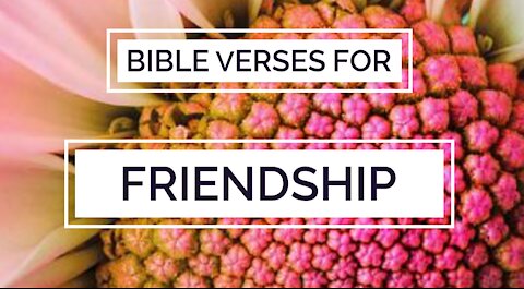 Bible verses for friendship 2