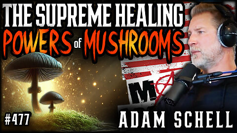 #477: The Supreme Healing Powers Of Mushrooms | Adam Schell (Clip)