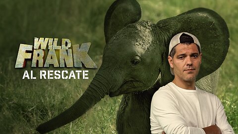 Wild Frank || DOCUMENTAL