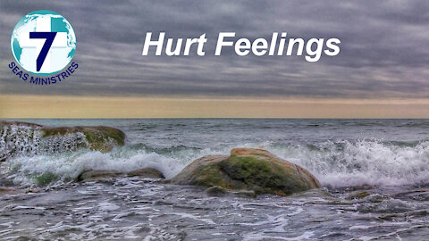 Hurt Feelings