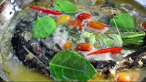 FOOD IN THE FOREST COOKING SOUP WITH TOMATOES cc by primitive jungle food