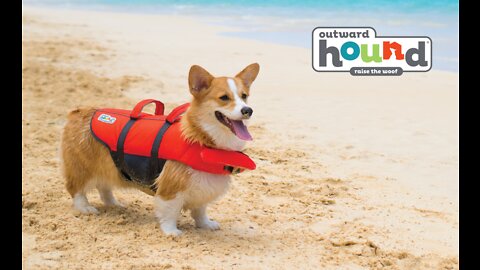 Outward Hound Granby Splash Orange Dog Life Jacket, Small