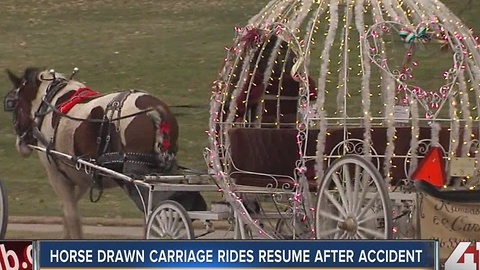 Horse-drawn carriages return to the Plaza after crash