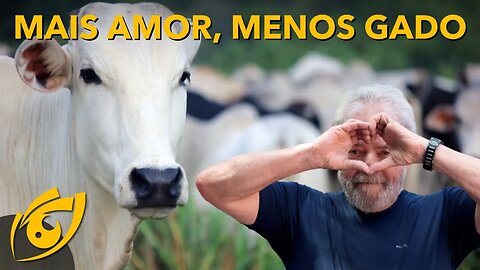 Mais AMOR, menos GADO: O AMOR venceu, mas quem PERDEU foi o AGRO