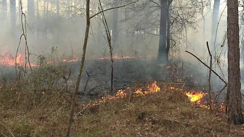 Starting a Controlled Burn