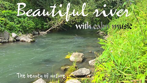 Beautiful river with calm music / relaxed nature / beautiful landscape.