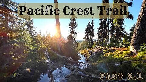 Battling Blisters & Night Hiking: Father-Son PCT (Part 2.1)