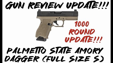 Gun Review Update: PSA Dagger (Full Size S) 1000 round update!!!