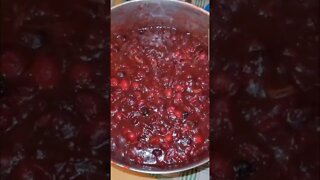 Cranberry Sauce NOT just for DRY turkey