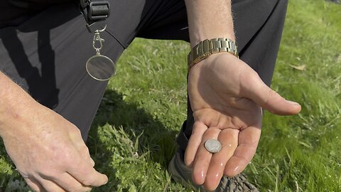 Queen Victorian Sterling Silver Metal Detecting