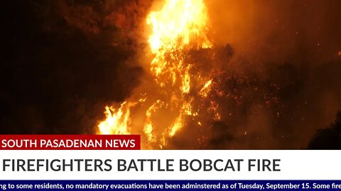 THE SOUTH PASADENAN NEWS | bobcat wildfire. Firefighters successfully protect homes. 9-15-2020