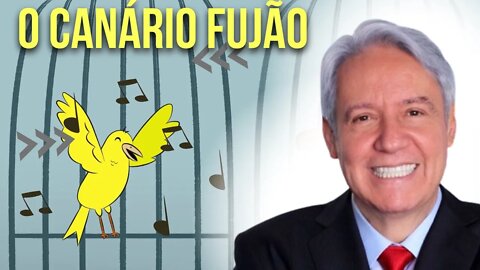 Juanribe Pagliarin Ilustrações I O Canário Fujão