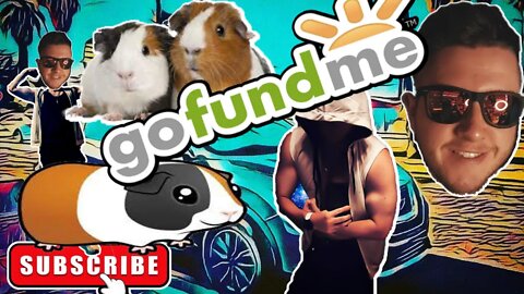 Guinea Pig Rescue/Medical Fund & Full Time Content Creator Fund!