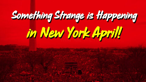 Something Strange is Happening in New York!