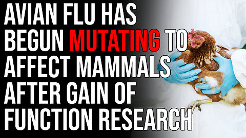 Avian Flu Has Begun MUTATING To Affect Mammals After Gain Of Function Research Was Performed