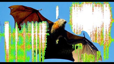 Schumann Resonance June 6 - the SEVEN Spikes, the BAT - AND Activation of COURAGE