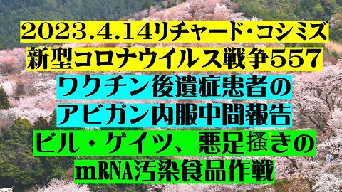 2023.04.14 リチャード・コシミズ新型コロナウイルス戦争５５７