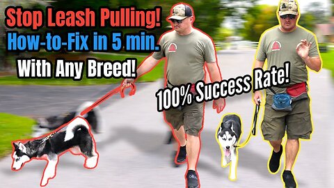 STOP Leash Pulling with ANY BREED Right NOW! SO EASY!